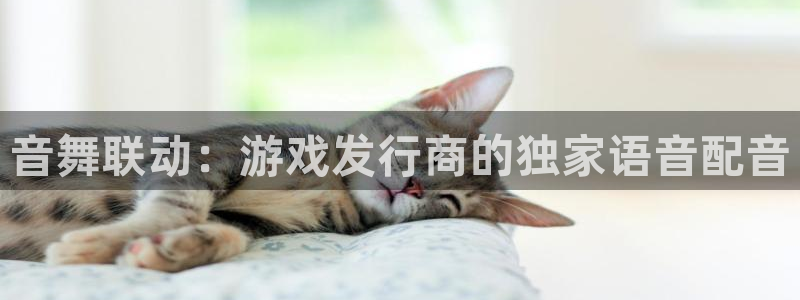 重庆db电竞子文化传播有限公司：音舞联动：游戏发行商的独家语音配音