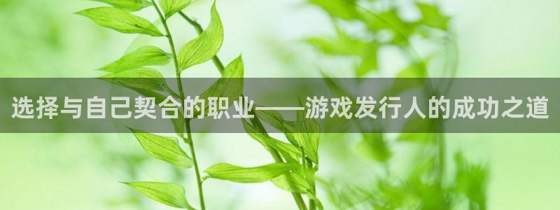 db电竞酒庄：选择与自己契合的职业——游戏发行人的成功之道