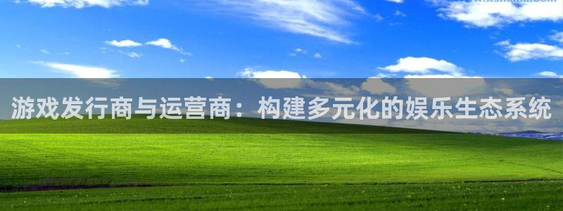 重庆db电竞子文化传播有限公司：游戏发行商与运营商：构建多元化的娱乐生态系统