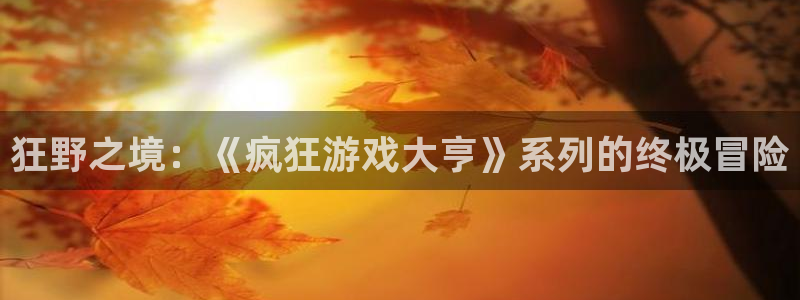 广东db电竞电子商务有限公司：狂野之境：《疯狂游戏大亨》系列的终极冒险