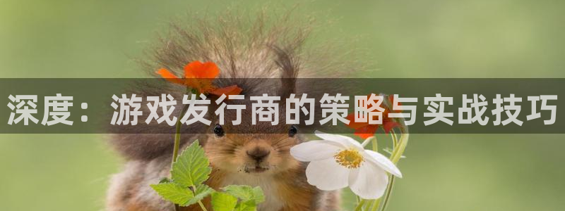 db电竞官网代理开号怎么开：深度：游戏发行商的策略与实战技巧