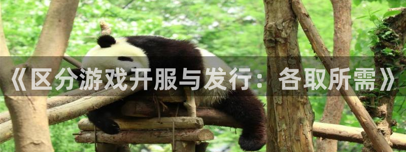 db电竞官网注册方法是什么意思：《区分游戏开服与发行：各取所需》
