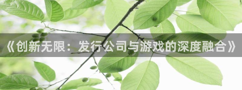 db电竞男装品牌：《创新无限：发行公司与游戏的深度融合》