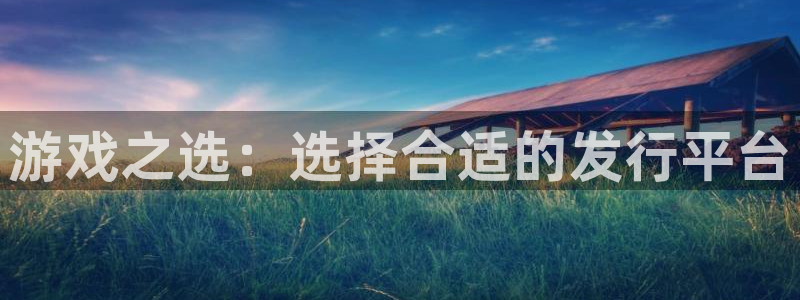db电竞电子商务有限公司怎么样：游戏之选：选择合适的发行平台
