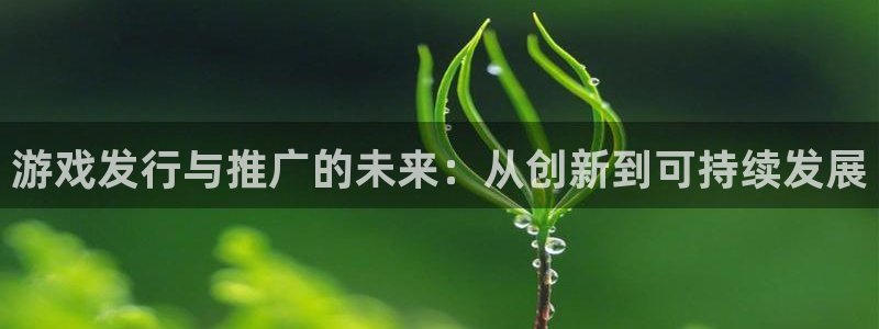 db电竞啤酒怎么样：游戏发行与推广的未来：从创新到可持续发展