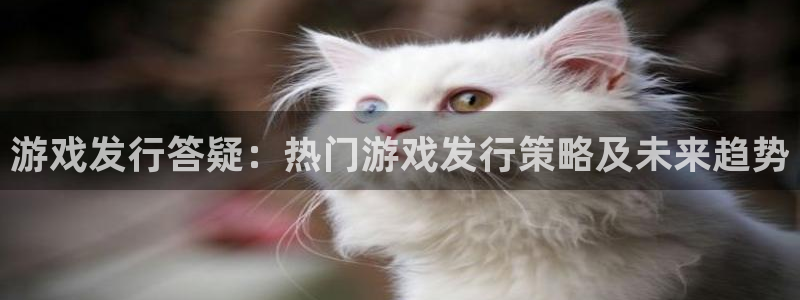 db电竞子签约作家：游戏发行答疑：热门游戏发行策略及未来趋势