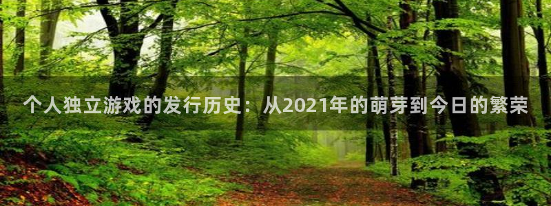 db电竞工坊：个人独立游戏的发行历史：从2021年的萌芽到今日的繁荣