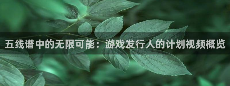 db电竞官网注册方法有哪些：五线谱中的无限可能：游戏发行人的计划视频概览