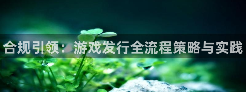 db电竞子赚话费：合规引领：游戏发行全流程策略与实践
